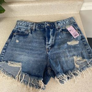 High Rise Shorts